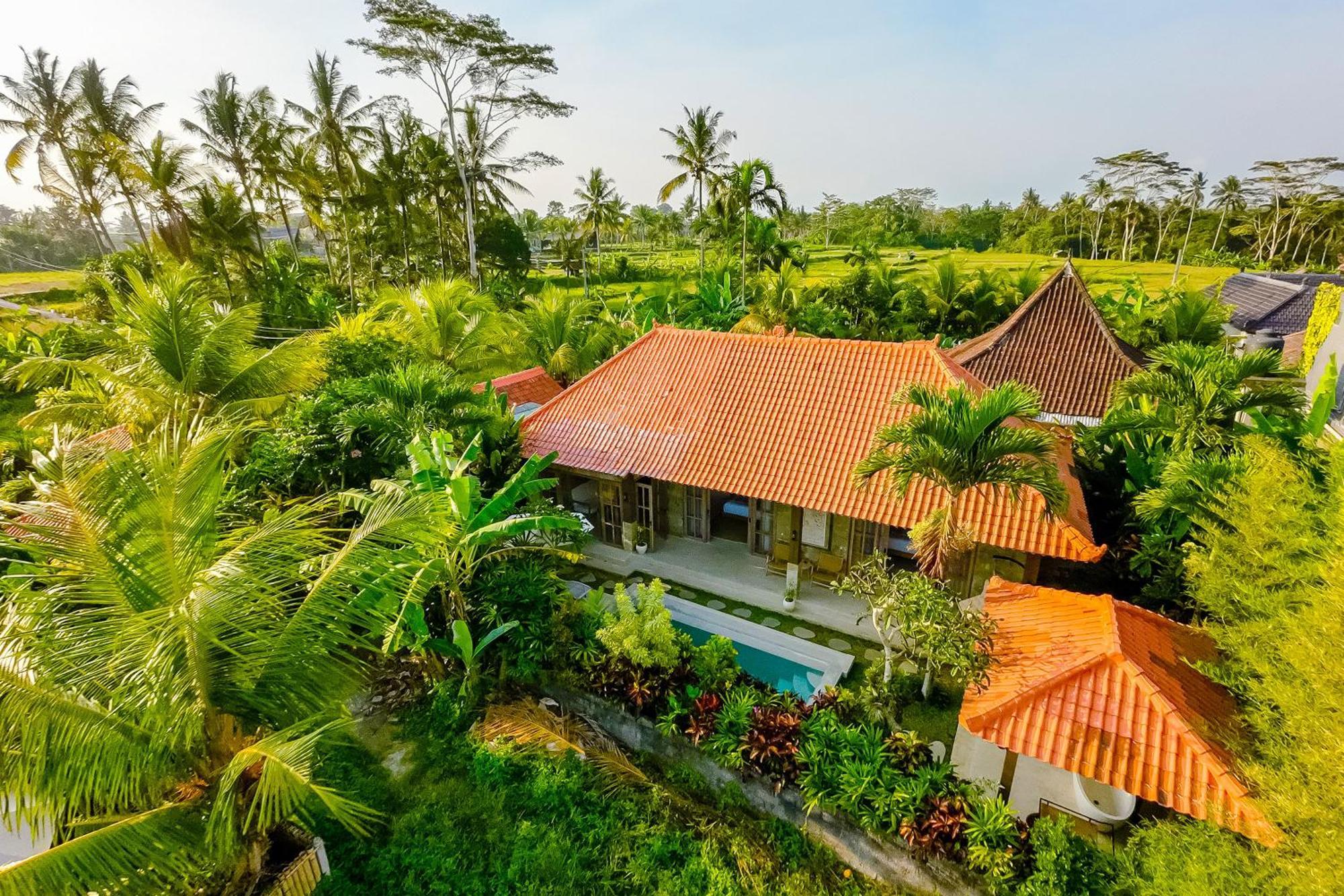 Nyaman Villas By Evdekimi Ubud Екстериор снимка